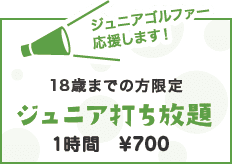 中学生までの方限定ジュニア打ち放題 1時間  ￥700（入場料込）＋消費税
